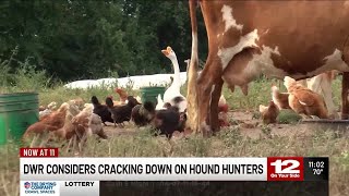 DWR considers cracking down on Hound Hunters [upl. by Anayet]