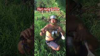 Kusina hunters trendingshorts funny birdsoun shorts [upl. by Lexine21]