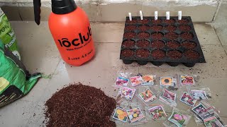 Winter Flower Seeds Sowing [upl. by Divaj781]