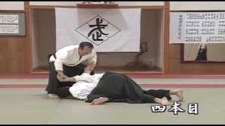 Daito Ryu Tehnike 3 [upl. by Griffin]