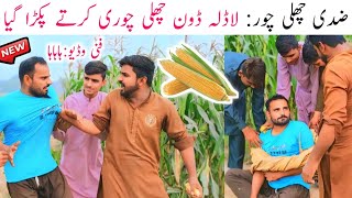 Challi Chor Funny 😂 story Most Full funny video top comedy video Harry jagaLalliLadla Done [upl. by Eizus69]