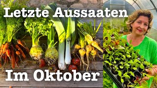 58 Der Garten im Oktober 🍂👩‍🌾 Letzte Pflanzungen Aussaaten und Vorbereitungen für den Winter 🍁 [upl. by Ahsitniuq]