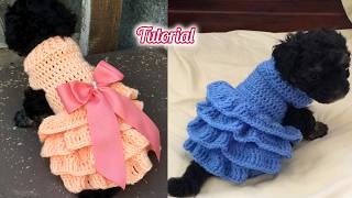 🐶🐱 Vestido para Perros y Gatos a Crochet  Todas las Tallas [upl. by Raye858]