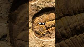 Chrono Stratigraphy vs Biostratigraphy [upl. by Eikkin83]