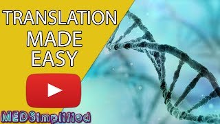 DNA Translation Made Easy [upl. by Niveg93]