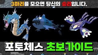 포토체스 초보자 가이드  가이오가  갸라도스  약어리 뽑기물덱 [upl. by Airun]