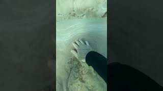 ESTO PASÓ HOY EN CANARIAS😱 canarias mar oceano playa arena turismo buceo snorkeling peces [upl. by Gnourt720]