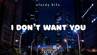 Riton amp RAYE  I Dont Want You Lyrics [upl. by Enial]