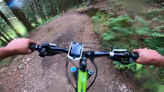 Mountain Biking Dalby Forest Red Trails  Newclose Rig Jerry Noddle and Riggs and Dales Trails [upl. by Adnilab]