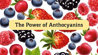 The Power of Anthocyanins Strengthen Your Bones and Reduce Osteoporosis Risk [upl. by Muns]