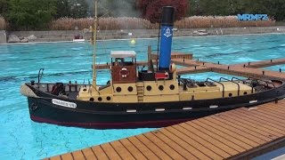 RC Dampfschiff quotThames VIIquot  Modellschifftreffen Rheinfelden 03102015 [upl. by Anifur591]