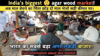 India ka sabse bada agar wood market  local agar wood market  indian oudh indianoudh 9365569316 [upl. by Nomzaj683]