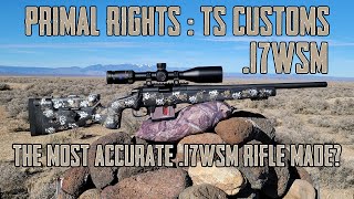 Primal Rights 17WSM  The Most Accurate 17 WSM Made [upl. by Casimire709]