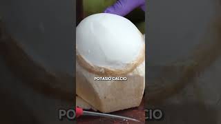 ¿Qué beneficios tiene comer masa de coco parati comida dieta coco masadecoco beneficios [upl. by Lennahc692]