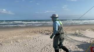 Pompano at Padre Island National Seashore  PINS  RAW VIDEO [upl. by Brote]