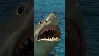 Jaws the Revenge The Shark Roars youtubeshorts [upl. by Nedrud]