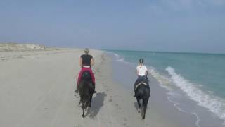 Reiten  Reiterferien am Strand Reitstall Zitouna – Djerba [upl. by Myrle541]