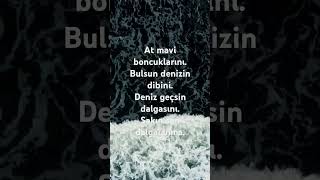 şiir poesie turkey gedichte shorts şarkılar şair müzik duygusal edebiyat beste yazar [upl. by Hortensia]