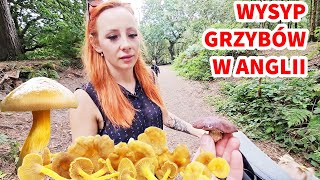 GRZYBOBRANIE W ANGLII Idziemy na grzyby Wysyp grzybów grzyby grzybobranie anglia [upl. by Zeiler]