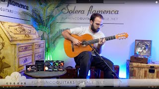 Isidro Garrido 6070s flamenco guitar for sale played by Toni Abellán [upl. by Nelav]