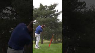 Golfer hits insanely LUCKY shot… golf goviral trending funny lucky [upl. by Isia]