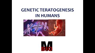 GENETIC TERATOGENESIS IN HUMANS [upl. by Ditter230]