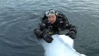 Diving Antarctica  JONATHAN BIRDS BLUE WORLD [upl. by Elrak]