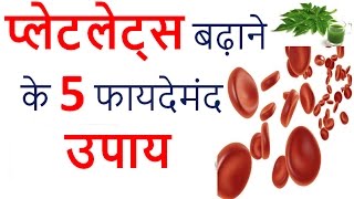 प्लेटलेट्स बढ़ाने के 5 फायदेमंद उपाय  Food To Increase Platelets [upl. by Borden]