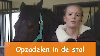 Opzadelen in de stal amp toffe Winactie  PaardenpraatTV [upl. by Phyl]