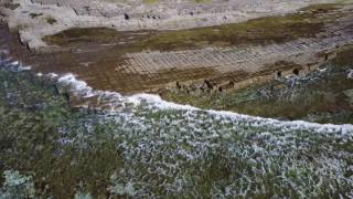 Tessellated Pavement [upl. by Thorrlow]