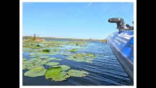 Headwaters Lake Cold Front Bass Fishing [upl. by Mukul403]