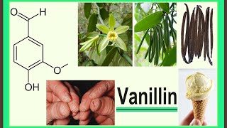 vanillin [upl. by Nnahsal709]