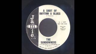 The Sundowners  A Shot Of Rhythm amp Blues  Rockabilly 45 [upl. by Tugman]