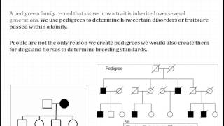 Introduction to Pedigrees [upl. by Adina]