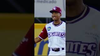 Fue interferencia si ó no   beisbol lidom sports shortvideos reels dominicano [upl. by Boutis696]