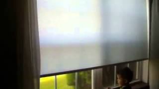 Customer Review Blindscom Architectural Light Filtering Roller Shades [upl. by Plumbo458]