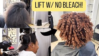 Turning Natural Black Hair AuburnCopperwith NO BLEACH  Beauty Desis Way [upl. by Marris]