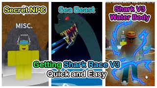 How To Get Shark Race V3 In Blox Fruits 2024  Shark Race V3 Complete Guide [upl. by Kremer]