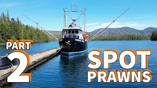 FISHING SPOT PRAWNS 2024 PART 2 [upl. by Ayalat231]