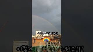 분갈이 하던 중 본 대형 무지개 🌈 [upl. by Aznarepse454]