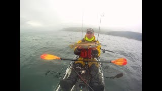 Pollock and coalfish trolling from a kayak [upl. by Vasti453]