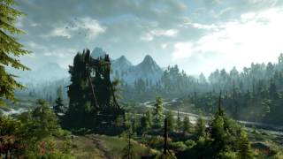 The Witcher 3 Wild Hunt  The Fields of Ard Skellig Extended [upl. by Loleta]