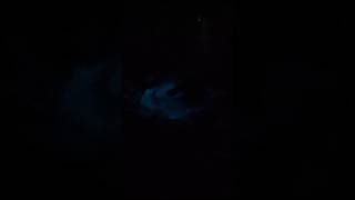 🌊🌊Bioluminescence  thiruvanmiyur beach🌊 Bioluminescence seaglow [upl. by Harle]