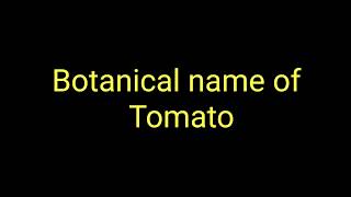 Botanical name of Tomato  Tomatos scientific name  टमाटर का वैज्ञानिक नाम [upl. by Chery]