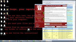 Ransomware Analysis 1  WannaCry [upl. by Lolande]