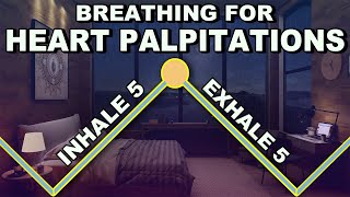 Breathing Exercise to Stop Heart Palpitations [upl. by Aissatsan939]