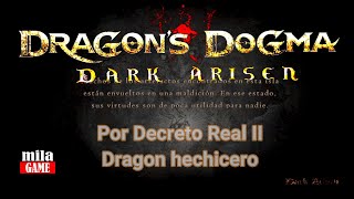 Dragon Dogma Dark Arisen Por Decreto Real II Dragon Hechicero  seriesrol [upl. by Hinch]