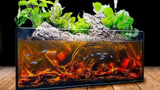 Blackwater Riparium for Blue Tetras in the IKEA Aquarium [upl. by Leede]