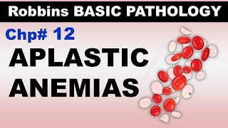 Ch12  Aplastic Anemias  Blood Pathology  Dr Asif Lectures [upl. by Barthel]