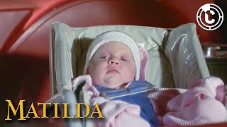 Matilda  Welcome To The Wormwoods  CineClips [upl. by Egnalos]